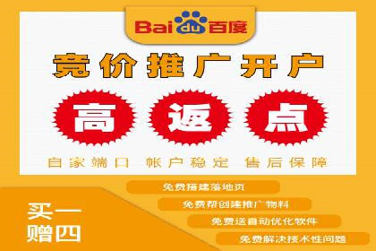 SEM主管实战：案例分析与优化策略